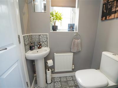 Picture 12
